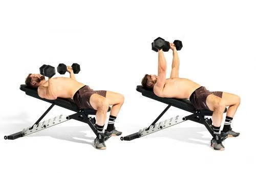 incline dumbbell bench press
